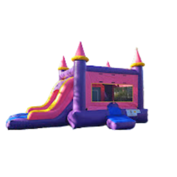 2 1760541339 Dual Pink Castle Wet or Dry